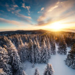 Information Professionals Share their Top Tips for 2019