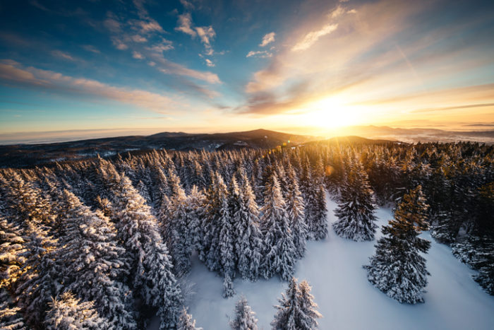 Information Professionals Share their Top Tips for 2019