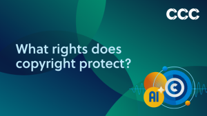 what rights does copyright protext?